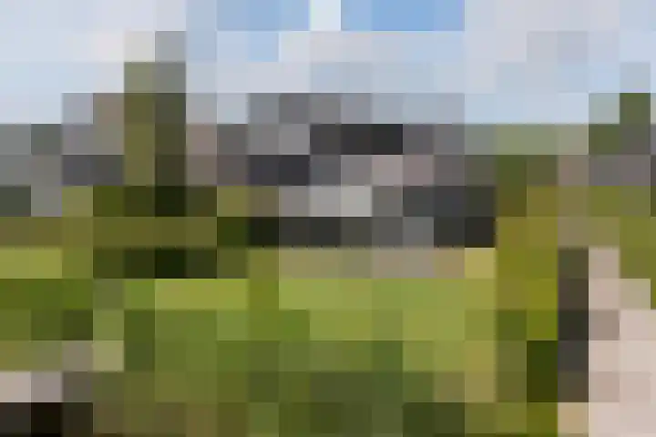Oan'e Poel 10 Terherne foto 3