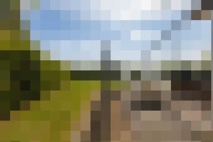 Oan'e Poel 10 Terherne thumbnail 31