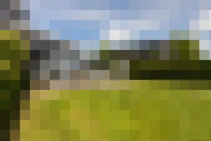 Oan'e Poel 10 Terherne thumbnail 38