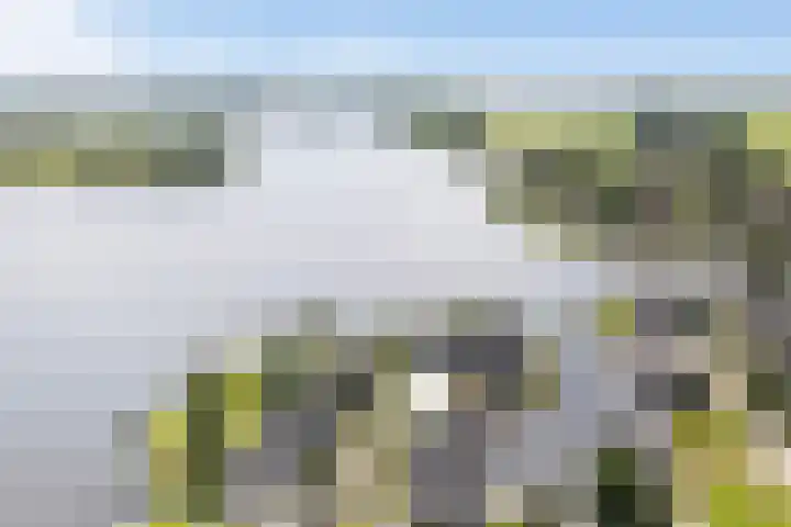Oan'e Poel 10 Terherne thumbnail 4