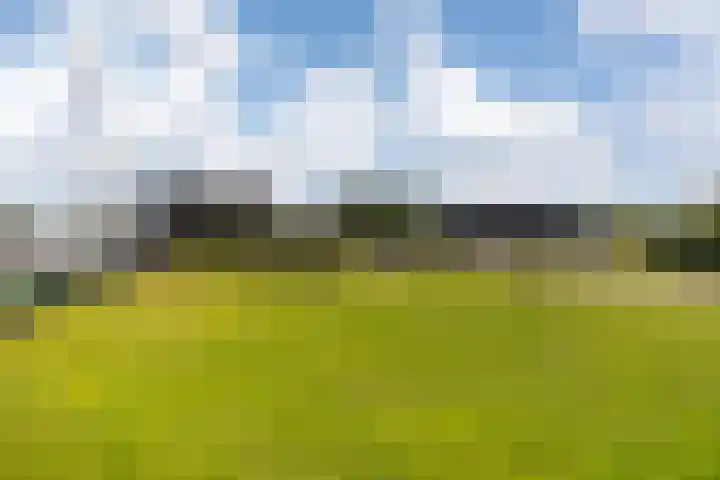 Oan'e Poel 10 Terherne thumbnail 52