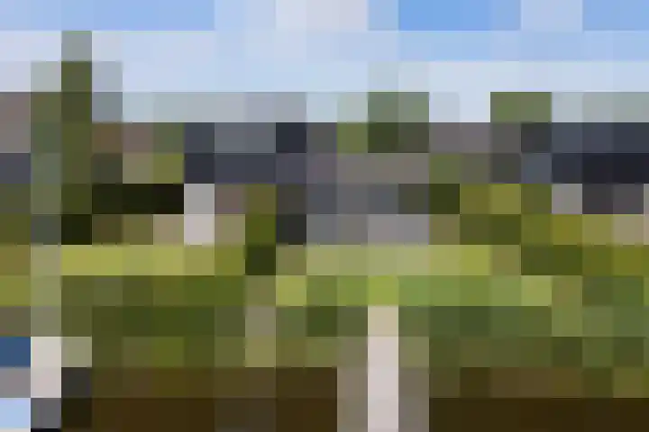 Oan'e Poel 10 Terherne thumbnail 57