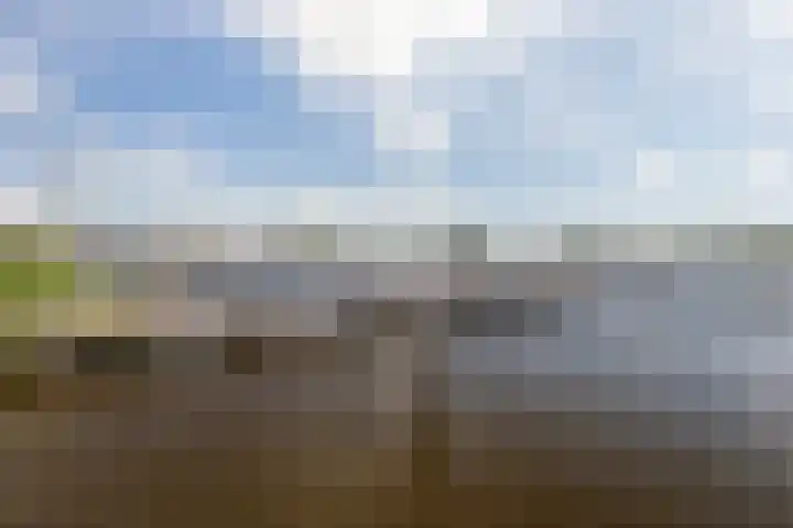 Oan'e Poel 10 Terherne thumbnail 7