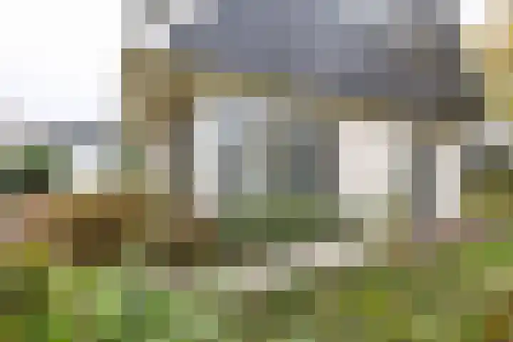 Obalaan 2 Oostvoorne thumbnail 12