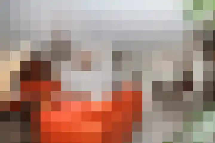 Obalaan 2 Oostvoorne thumbnail 18