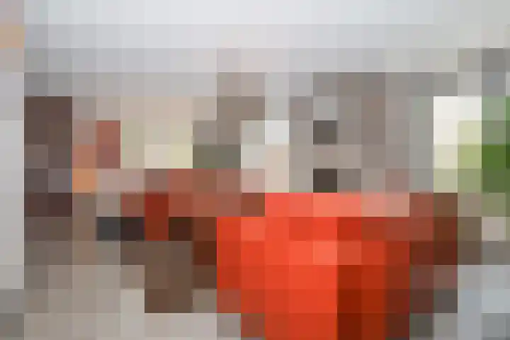 Obalaan 2 Oostvoorne thumbnail 20