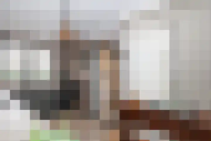 Obalaan 2 Oostvoorne thumbnail 28