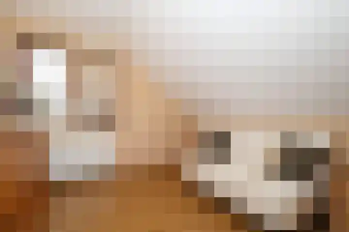 Obalaan 2 Oostvoorne thumbnail 34