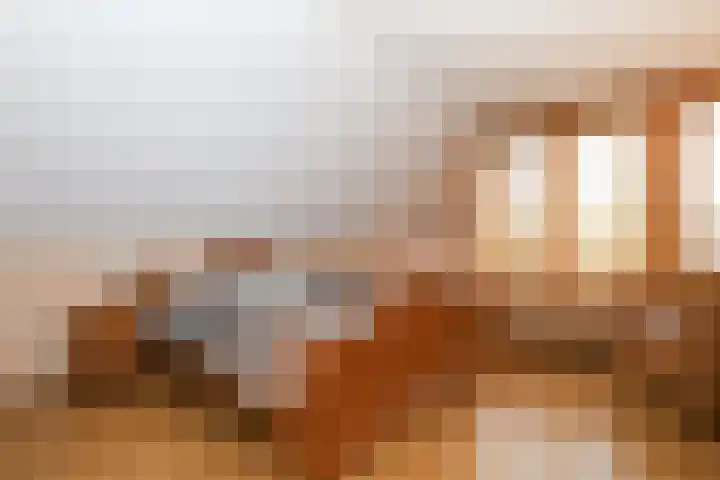 Obalaan 2 Oostvoorne thumbnail 39