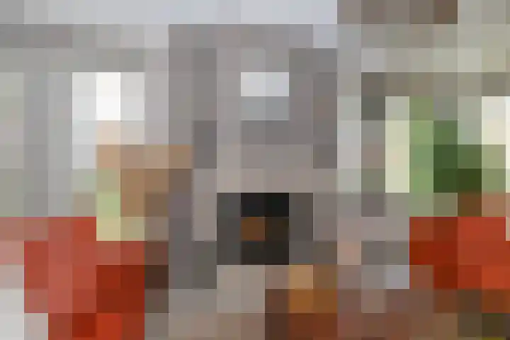 Obalaan 2 Oostvoorne thumbnail 4