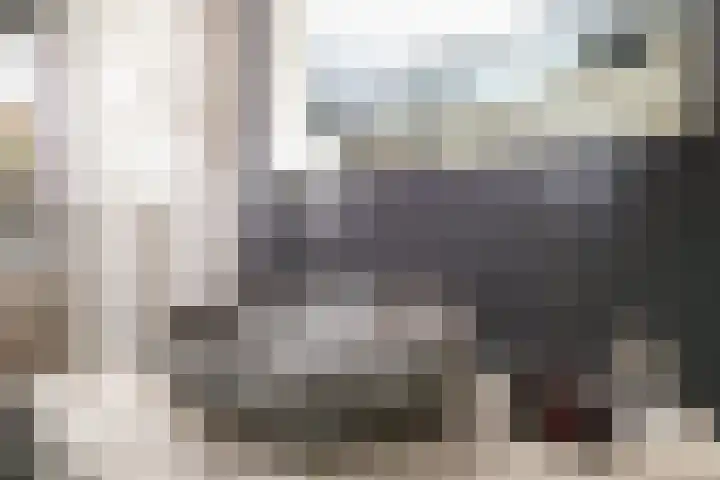 Obalaan 2 Oostvoorne thumbnail 44