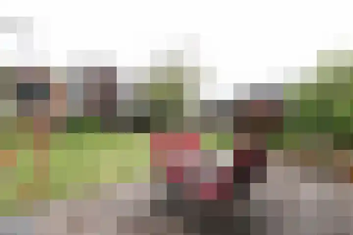 Obalaan 2 Oostvoorne thumbnail 50