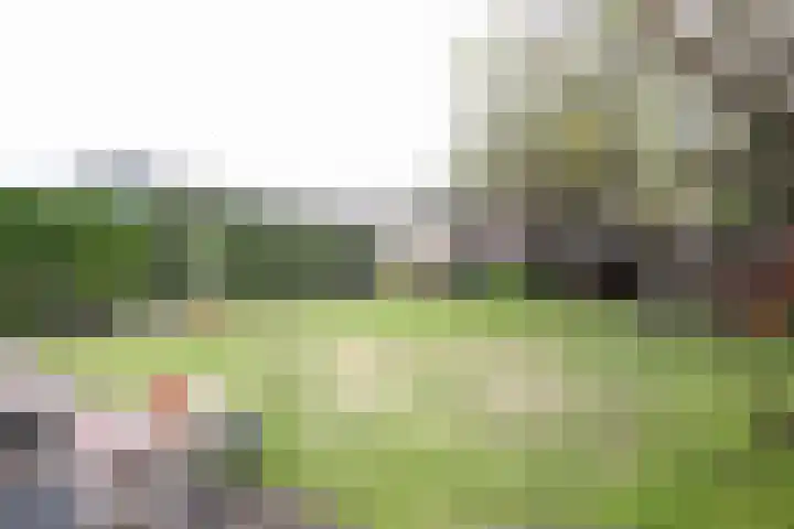 Obalaan 2 Oostvoorne thumbnail 52