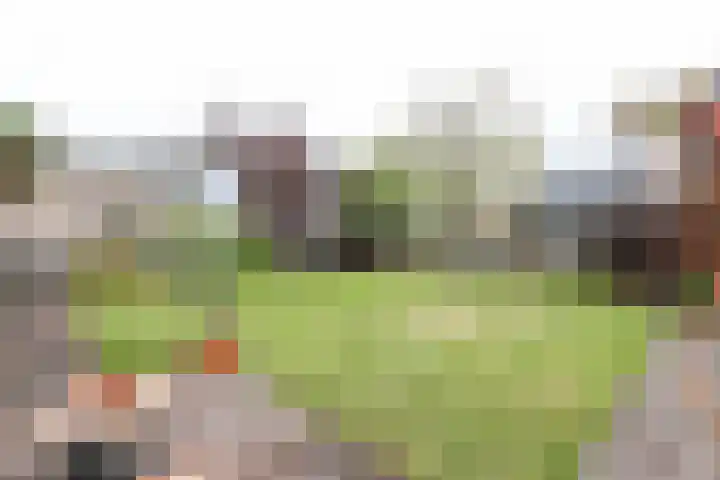 Obalaan 2 Oostvoorne thumbnail 53