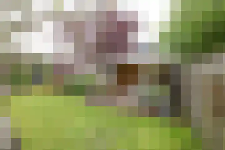 Obalaan 2 Oostvoorne thumbnail 56