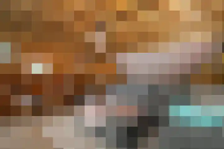 Obalaan 2 Oostvoorne thumbnail 59