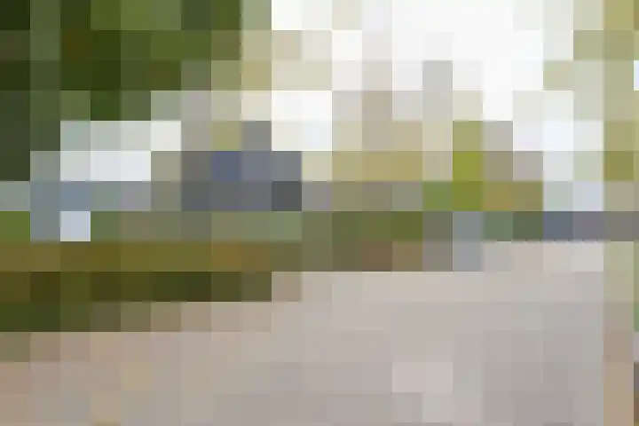 Obalaan 2 Oostvoorne thumbnail 6