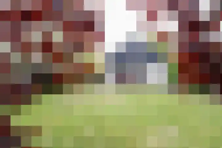 Obalaan 2 Oostvoorne thumbnail 60
