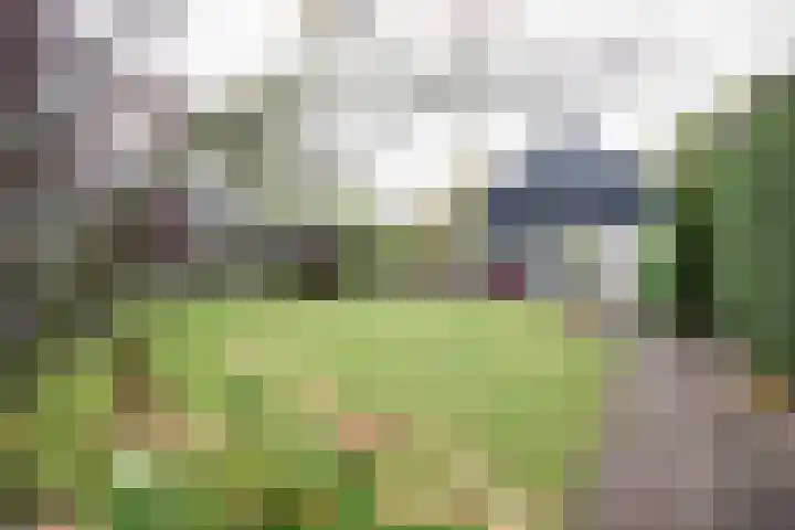 Obalaan 2 Oostvoorne thumbnail 62