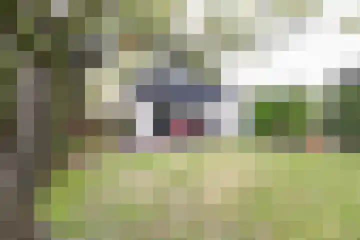 Obalaan 2 Oostvoorne thumbnail 63