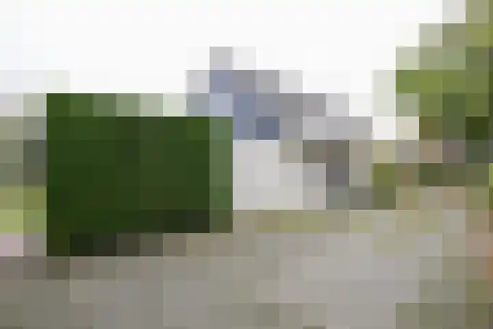 Obalaan 2 Oostvoorne thumbnail 64