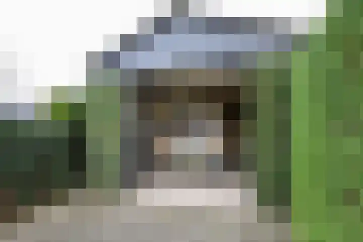Obalaan 2 Oostvoorne thumbnail 65