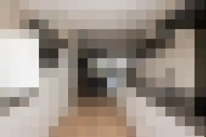 Obdamstraat 8 Tilburg thumbnail 11