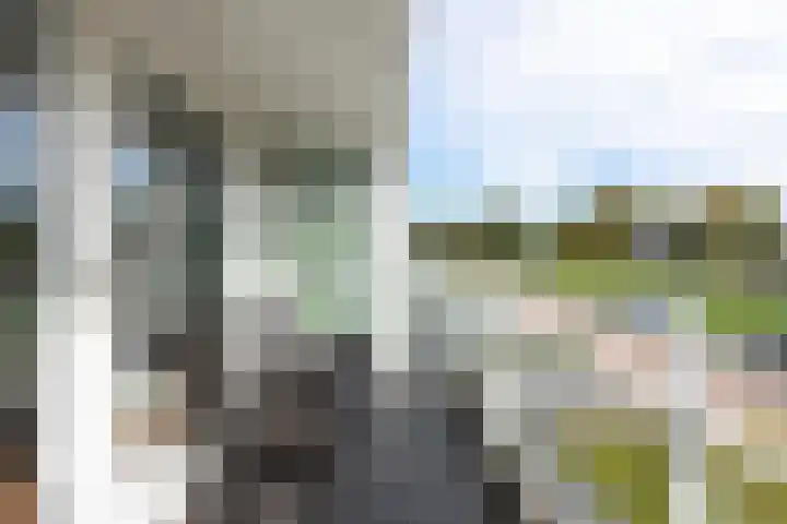Obdamstraat 8 Tilburg thumbnail 14