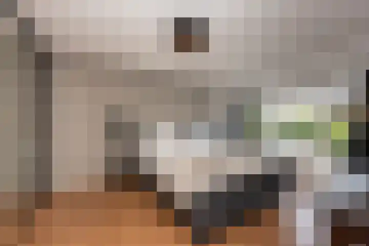 Obdamstraat 8 Tilburg thumbnail 17