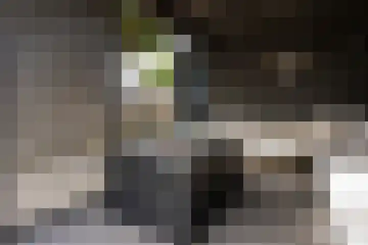 Obdamstraat 8 Tilburg thumbnail 32