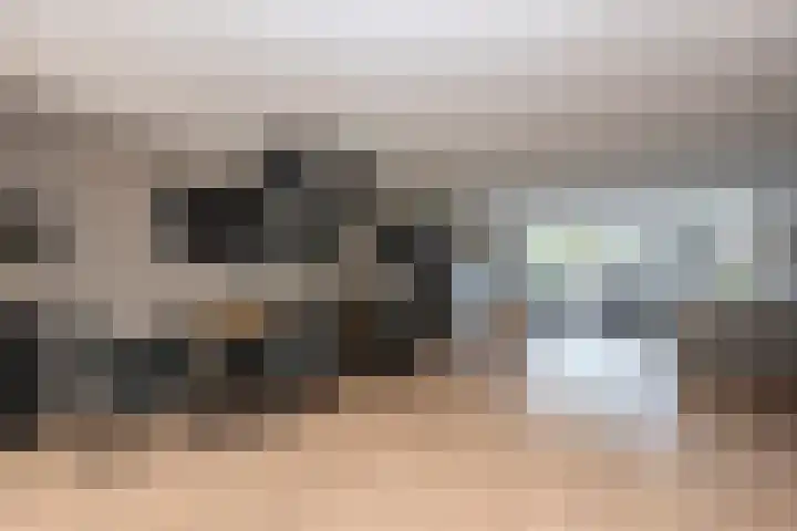 Obdamstraat 8 Tilburg thumbnail 4