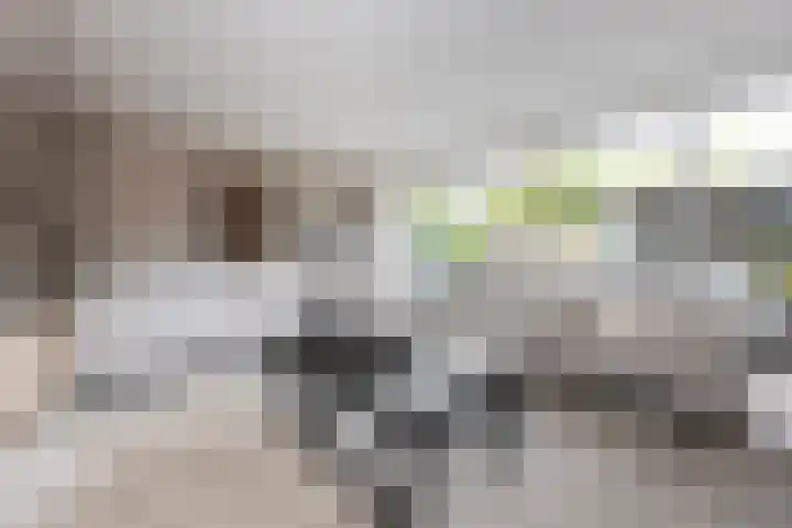 Obdamstraat 8 Tilburg thumbnail 6