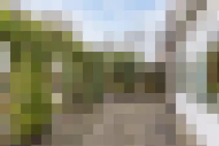 Obe Postmaplein 14 Franeker thumbnail 24