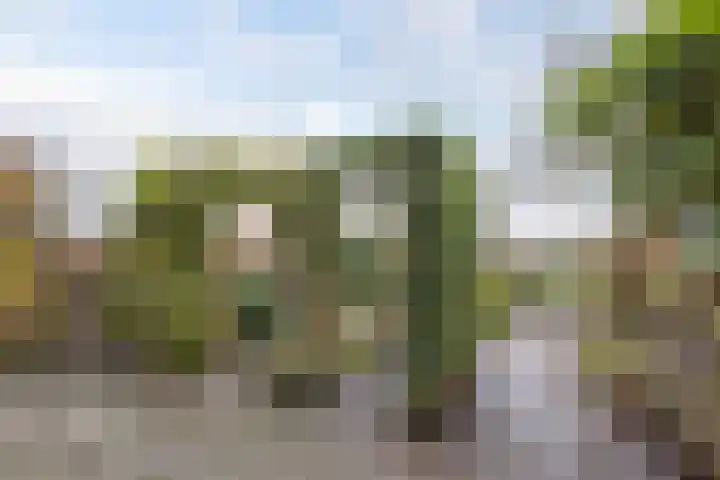 Obe Postmaplein 14 Franeker thumbnail 26