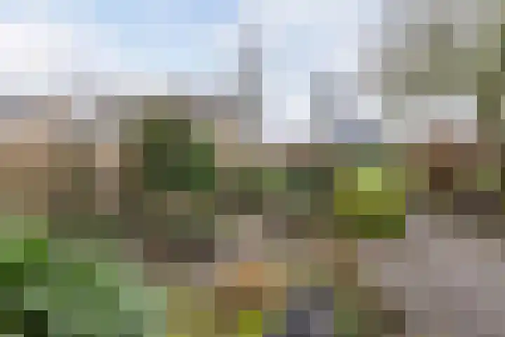 Obe Postmaplein 14 Franeker thumbnail 27