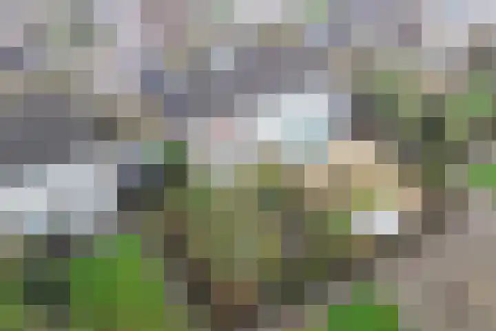 Obe Postmaplein 14 Franeker thumbnail 34