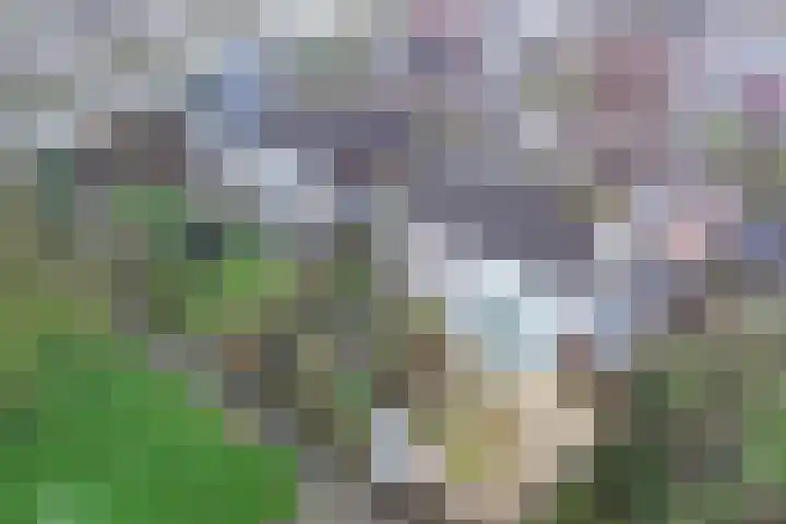 Obe Postmaplein 14 Franeker thumbnail 35