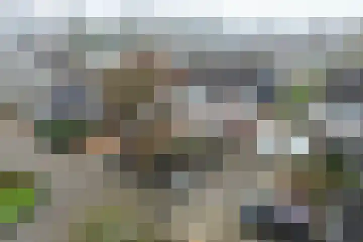 Obe Postmaplein 14 Franeker thumbnail 8