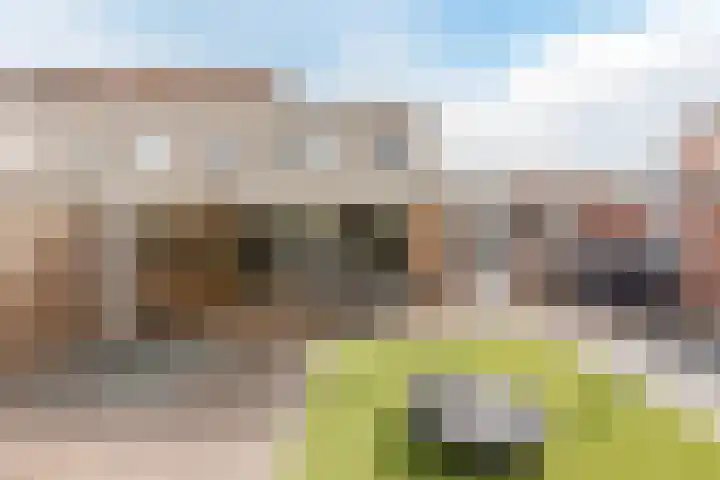 Oberto 38 Eindhoven thumbnail 34