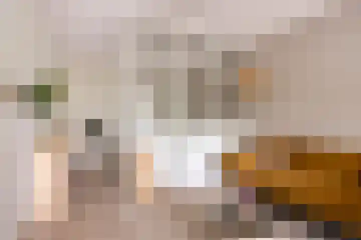Obiplein 47 Amsterdam thumbnail 4