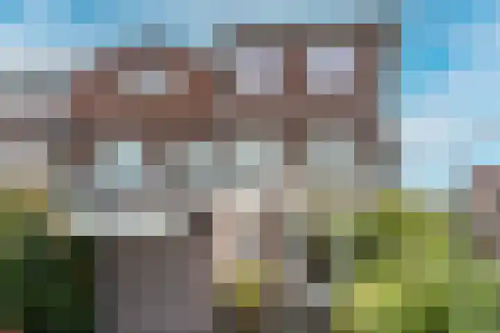 Obistraat 41 Haarlem thumbnail 20