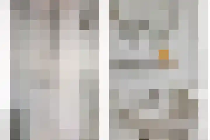 Obool 1 Leiderdorp thumbnail 20