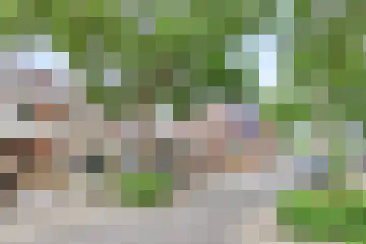 Obool 1 Leiderdorp thumbnail 28