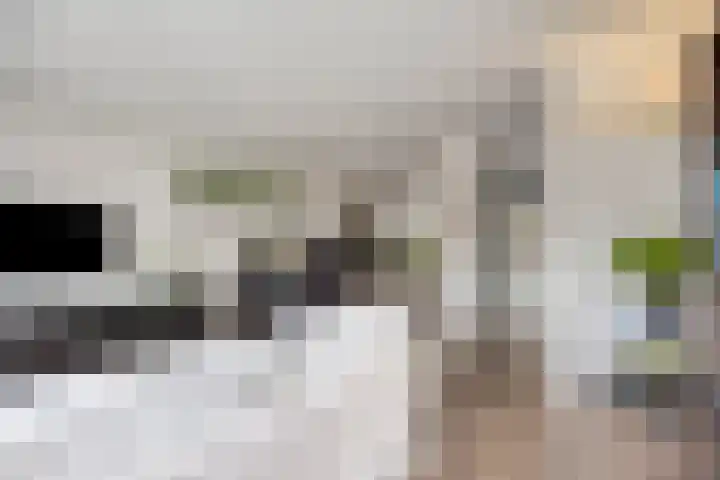 Obool 1 Leiderdorp thumbnail 8