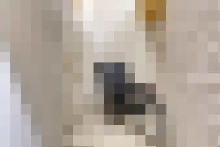 Obool 26 Leiderdorp thumbnail 25