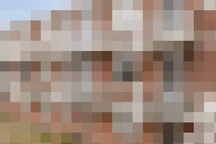 Obool 26 Leiderdorp thumbnail 9