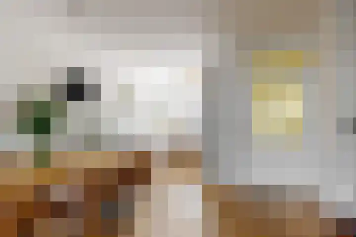 Obool 3 Leiderdorp thumbnail 12