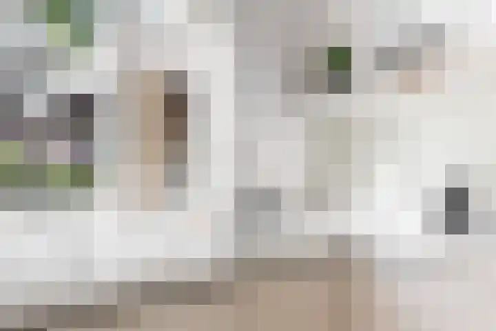 Obool 3 Leiderdorp thumbnail 15