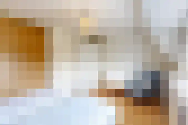 Obool 3 Leiderdorp thumbnail 19