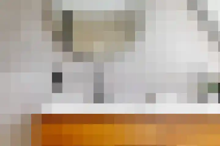 Obool 3 Leiderdorp thumbnail 23